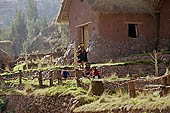 Peru   Uribamba valley, traditional house